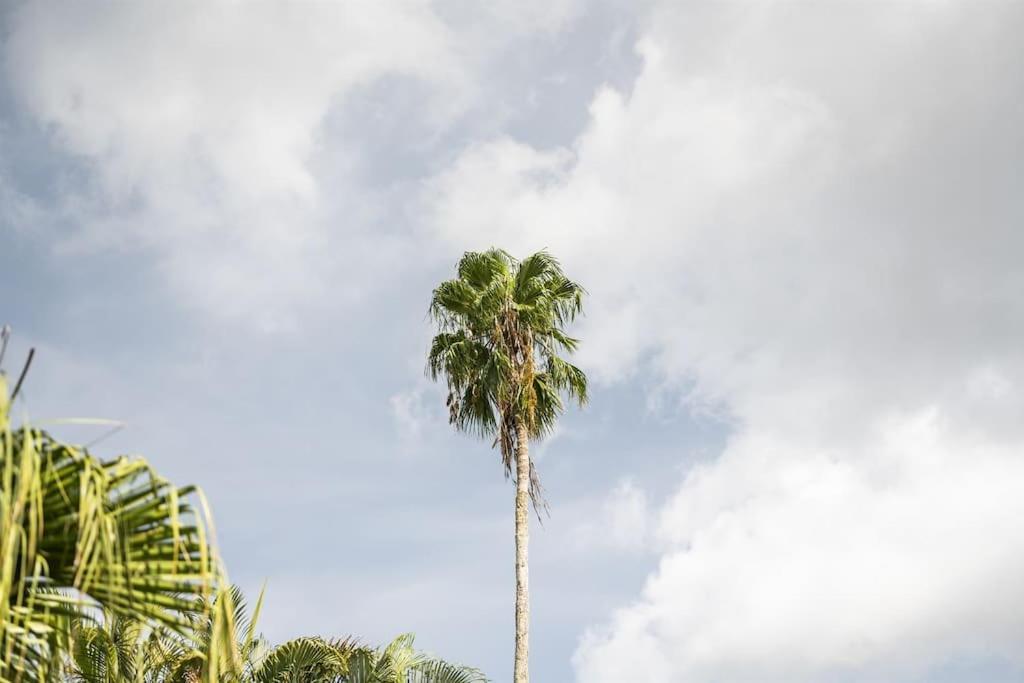 Aparthotel Bay Breeze South Bradenton Zewnętrze zdjęcie